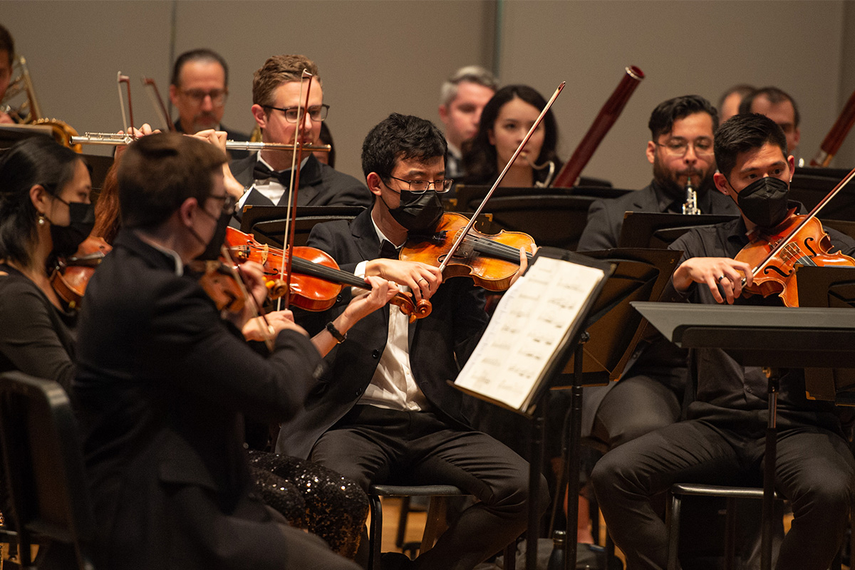 Festival Orchestra