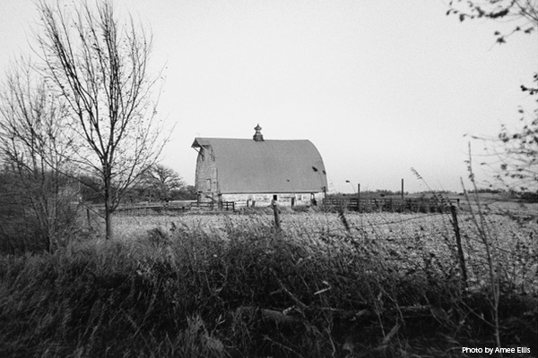 The Land in Transition: Hills & Valleys thumbnail